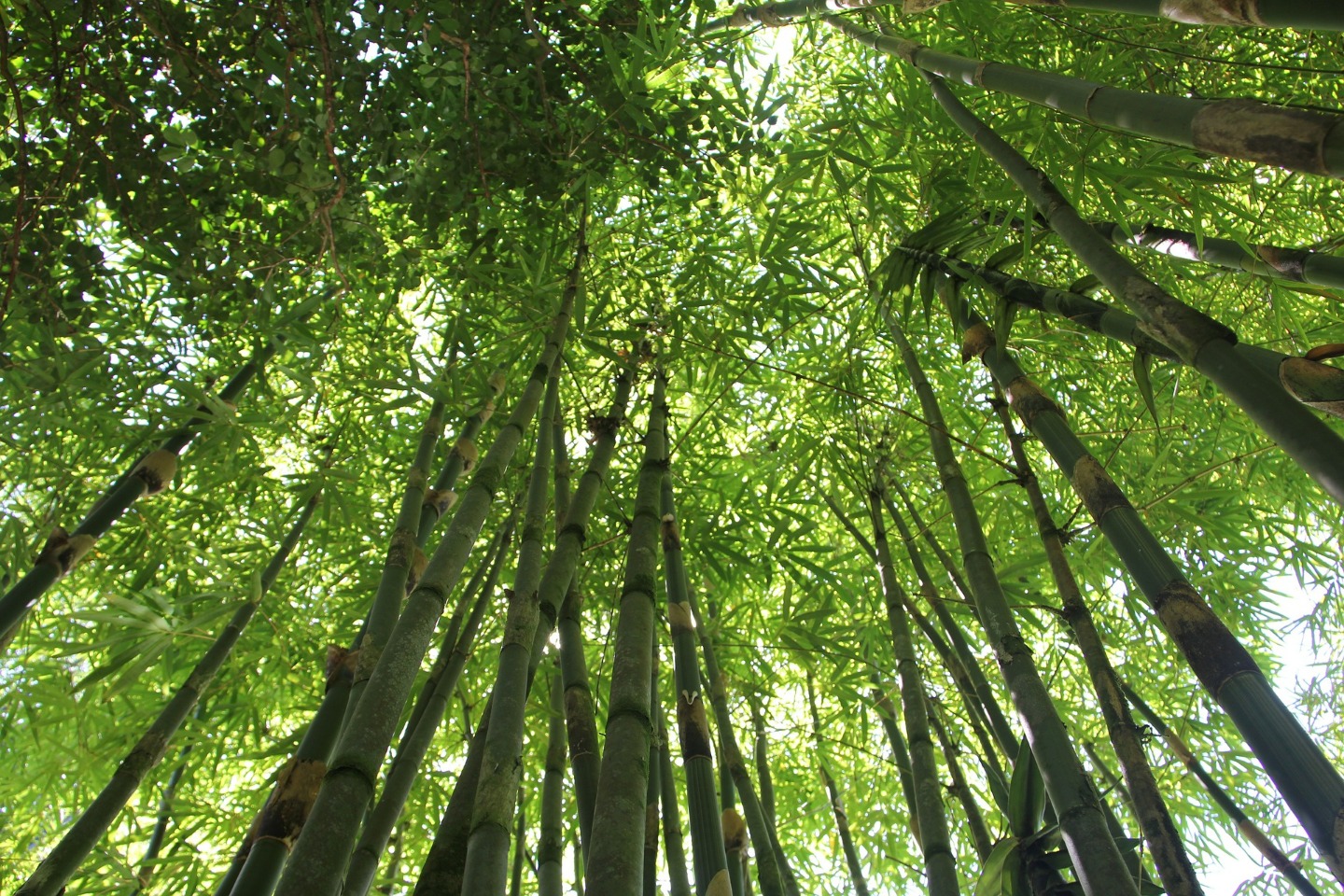 みなさまの耳・鼻・喉の健康を保つお手伝いをさせていただきます